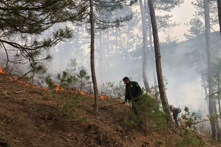 Akli dengesi bozuk şahıs ormanı yaktı, 1,9 hektar alan zarar gördü