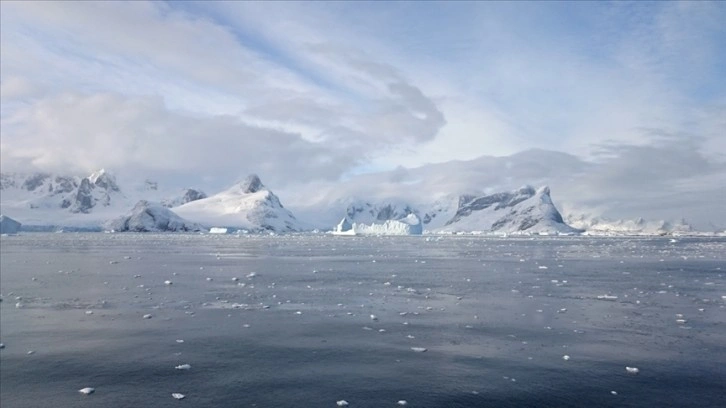 Antarktika'da 'dünyanın en iri balık üreme kolonisi' keşfedildi