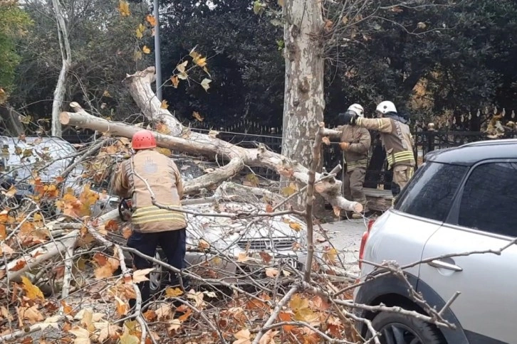 Beşiktaş’ta şiddetli rüzgarla devrilen ağaç, otomobilin üzerine düştü