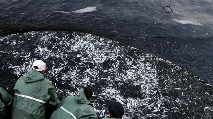 BM: Akdeniz ve Karadeniz'de aşırı avlanma azalsa da balıkçılık kaynakları hala bası altında