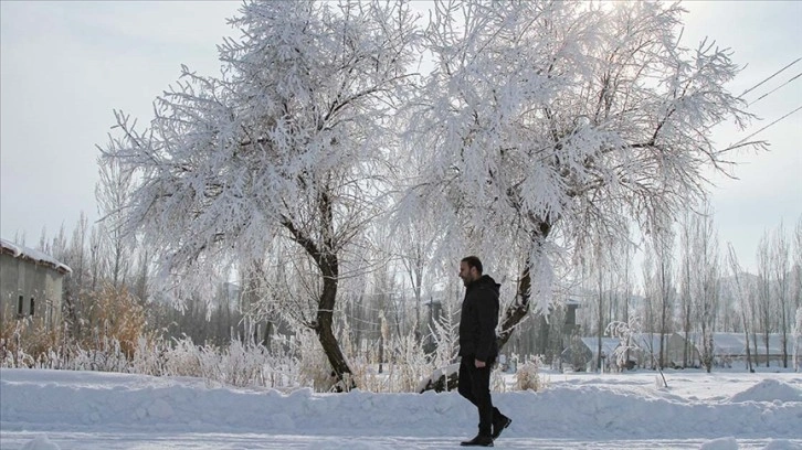 Ocakta en efdal sıcaklık İnebolu'da, en düşüt sıcaklık Özalp'te yaşandı
