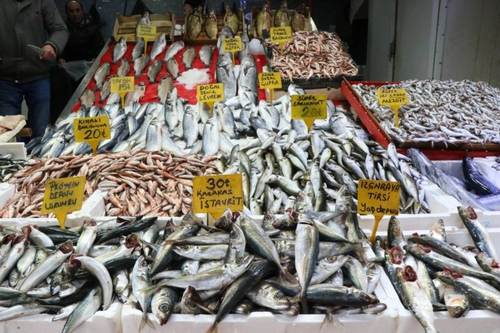 Samsun'da balık tutarları arttı