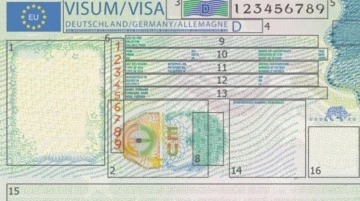 AB: Türk vatandaşlarına sunulan vizelerin oranı derneşik biçimde artıyor