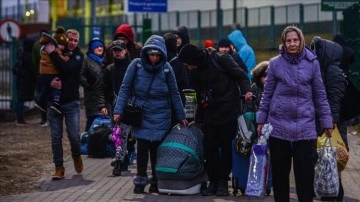AB, Ukraynalı mültecilerin grivnalarını dönüştürecek dizge hazırlığında