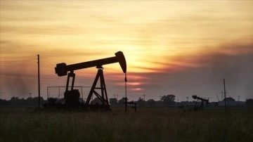 ABD ve Çin'in rezerv satışlarının petrol fiyatlarını levent boylu vadede etkilemesi beklenmiyor
