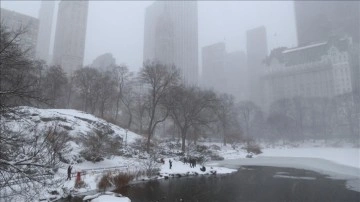 ABD'de sert kış koşulları yaşamı menfi etkiliyor