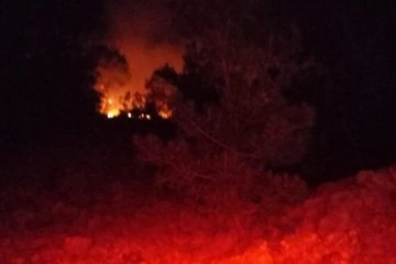 Adana’da gece çıkan orman yangını kontrol altına alındı