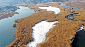 Ağrı Dağı Milli Parkı'ndaki sulak alanlar azda olsa dondu