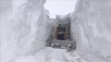 Ağrı'da çığın düşmüş olduğu karye önünde ikinci kat kardan tünel yapıldı