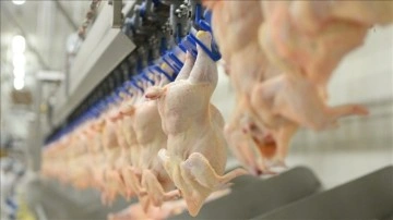 Ağustosta fiyatı en aşırı sakıt 'kümes hayvanlarının eti' oldu