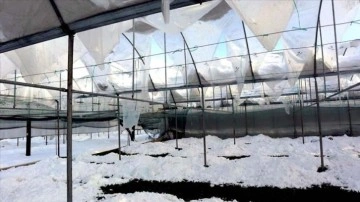 Amasya'da derin kar yağışı seralara zarar verdi
