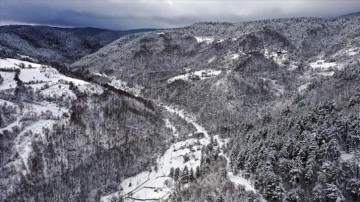 'Anadolu'nun ulu dağı' Ilgaz'da kar yağışı drone ile görüntülendi