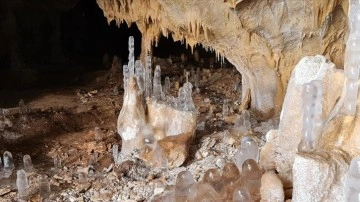 Ankara'daki Tulumtaş Mağarası'nın ana deniz kalıntılarının izini taşımış olduğu belirlendi