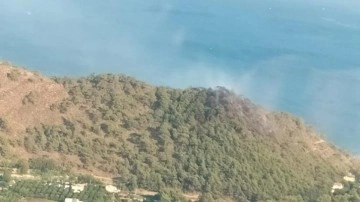 Antalya'da Adrasan Sahili'ne DOĞRU alanda çıkan orman yangını arama dibine alındı