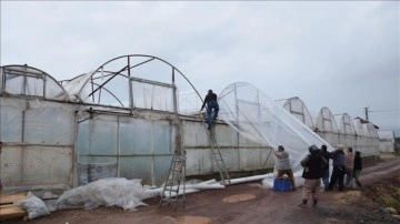 Antalya'da fırtına, meşbu ve hortum ekincilik sahalarına zarar verdi