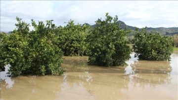 Antalya'da nehir taştı, iş bölgeleri ve ekincilik alanlarını su bastı