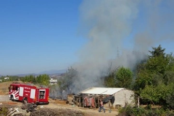 Antalya'da saman dolu ağılda yangın: 15 koyun telef oldu