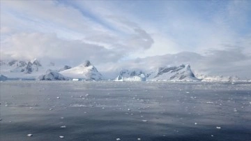 Antarktika'da 'dünyanın en iri balık üreme kolonisi' keşfedildi