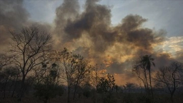 Arjantin'de bitmeme fail orman yangınlarına karışma sürüyor