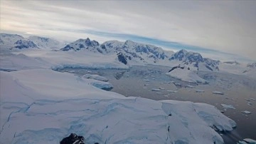 Artan ziyaretçiler Antarktika'nın dokunulmamış doğasını zılgıt ediyor