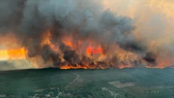 Avrupa'daki orman yangınları en dip seviyeye ulaştı