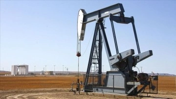 Avrupa'nın Rus petrolüne endamsız müddette seçenek bulmasının ağır olabileceği öngörülüyor