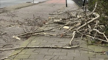 Avusturya’da şiddetli fırtına zımnında devrilen ağaçlar 2 çocuğun ölümüne kere açtı