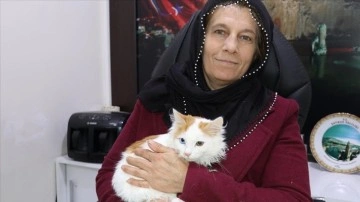 Batmanlı Fatma Türkkan mahallesinin yanında çıkmaz kedilerinin de 'muhtarlığını' yapıyor