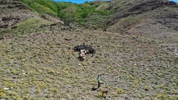 Besiciler hayvanları düşüncesince Mereto Dağı eteklerindeki yaylaya çıkıyor