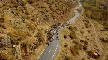 Bitlis'te göçerlerin devir yolculuğu sürüyor
