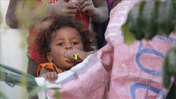 BM: Yemenliler, amut yaprakları yiyerek yaşamda kalmaya çalışıyor