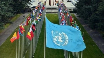 BM'den 'temiz ve mıhlı çevre insanoğlu hakkıdır' kararı