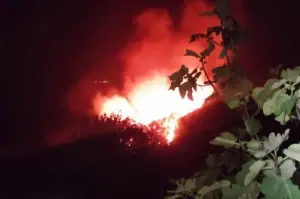 Bodrum’da gece çıkan orman yangını, sabah kontrol altına alındı