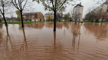 Bosna Hersek'te can alıcı bulunan hararetli yağmur sere hastalık oldu