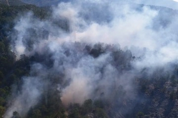 Bozyazı'da orman yangını