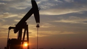 Brent petrolün varil fiyatı 111,50 dolar