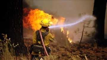 California’daki orman yangınlarına elektrik hattından sıçrayan çakın bozukluk olmuş