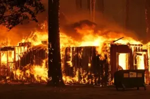 California’daki yangın 195 bin hektarlık alana ulaştı
