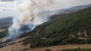 Çanakkale'de çıkan orman yangını arama dibine alındı