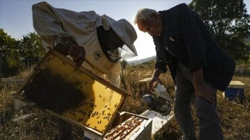Çeyrek asırdır bal arılarının verimini bırakmak düşüncesince çalışıyor