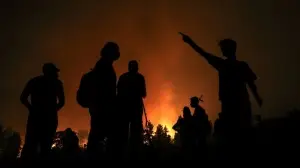 Cezayir'de 14 vilayette 31 ayrı noktada çıkan orman yangınlarında 4 kişi hayatını kaybetti