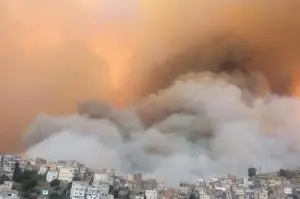 Cezayir'de 31 noktada orman yangını çıktı: 7 ölü, 3 yaralı