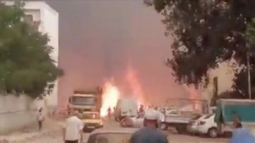 Cezayir’deki orman yangınlarında 26 insan yaşamını kaybetti