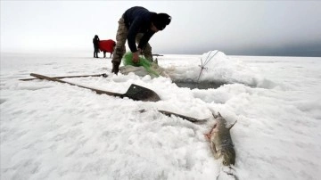 Çıldır Gölü'nde balıkçılar buz altındaki sonuç ağlarını çekiyor