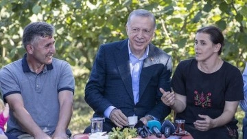 Cumhurbaşkanı Erdoğan Ordu'da fındık bahçesinde vatandaşlarla müşterek araya geldi