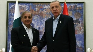 Cumhurbaşkanı Erdoğan, Pakistan Başbakanı Şerif ile müşterek araya geldi