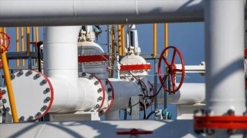 Danimarka erke şirketi, Rusya'dan gaz alıntı sözleşmesini uzatmayacak
