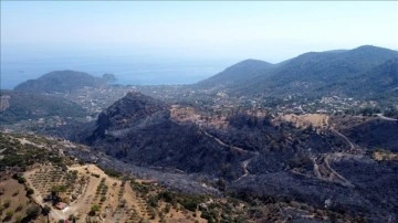 Datça'da yanan orman sektörü açıktan görüntülendi