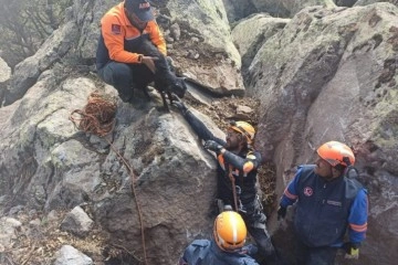 Dehlizde mahsur kalan oğlağı AFAD kayayı delerek kurtardı