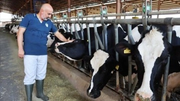 Devlet yardımıyla tesis kuran çiftçi, günce 6 titrem süt üretiyor